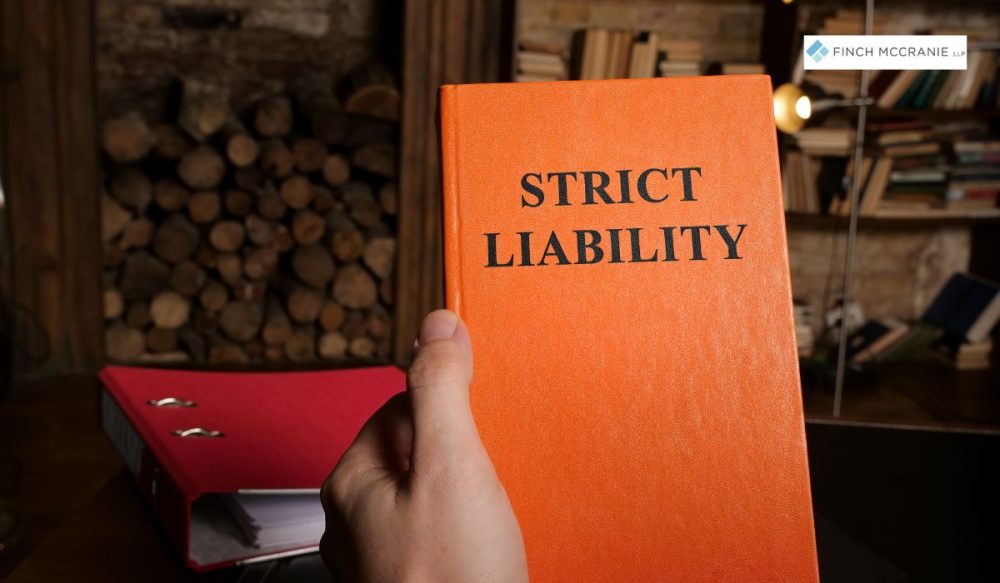 Exploring the Relationship Between Strict Liability and Product ...