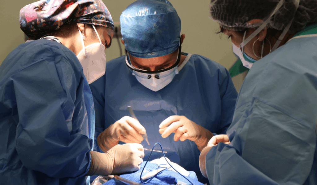 Medical Malpractice Lawyer, Medical Malpractice Lawyers
