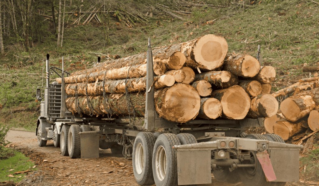 Georgia log truck crash wrongful death lawyer